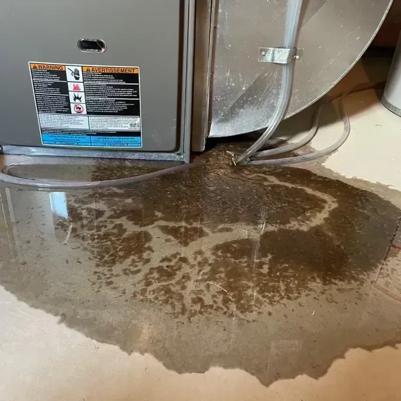 Appliance Leak Cleanup in Hendron, KY